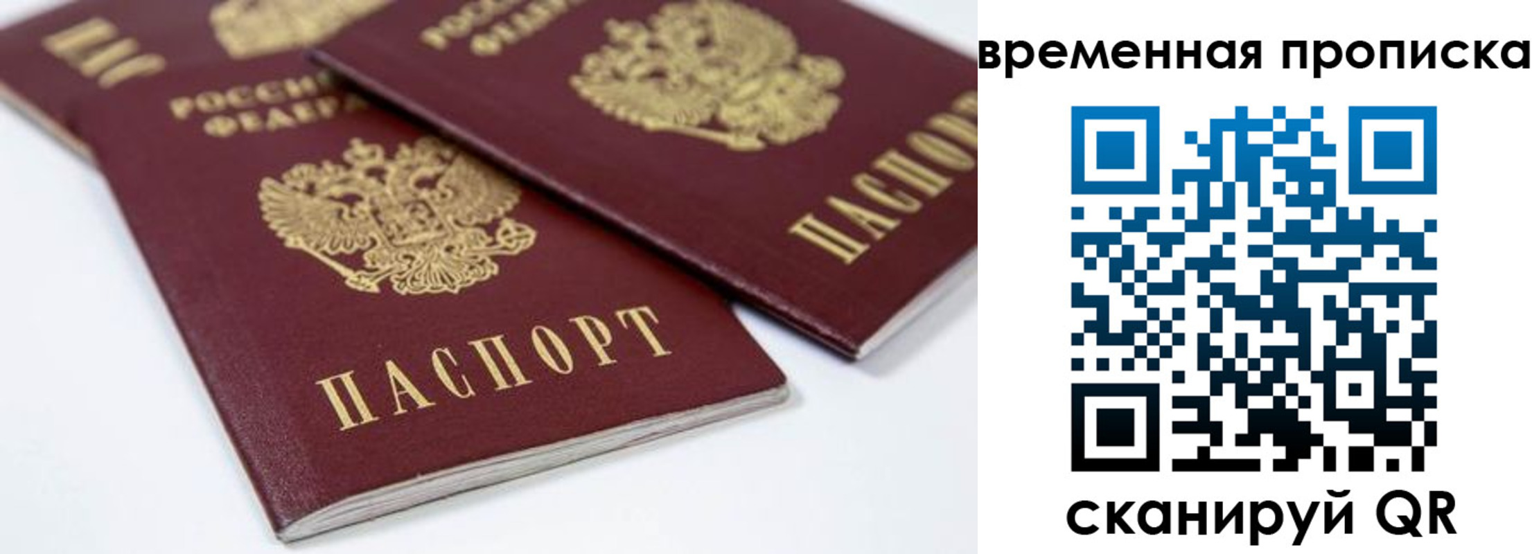 прописка для школы в Краснокаменске